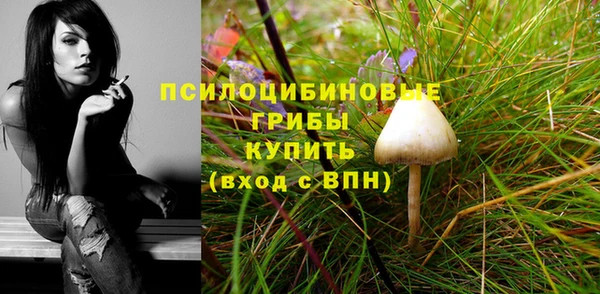 стаф Верхний Тагил
