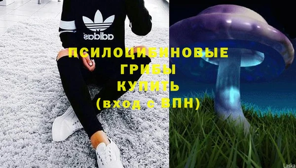 ГАЛЛЮЦИНОГЕННЫЕ ГРИБЫ Верея