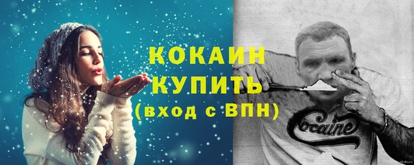 ГАЛЛЮЦИНОГЕННЫЕ ГРИБЫ Верея